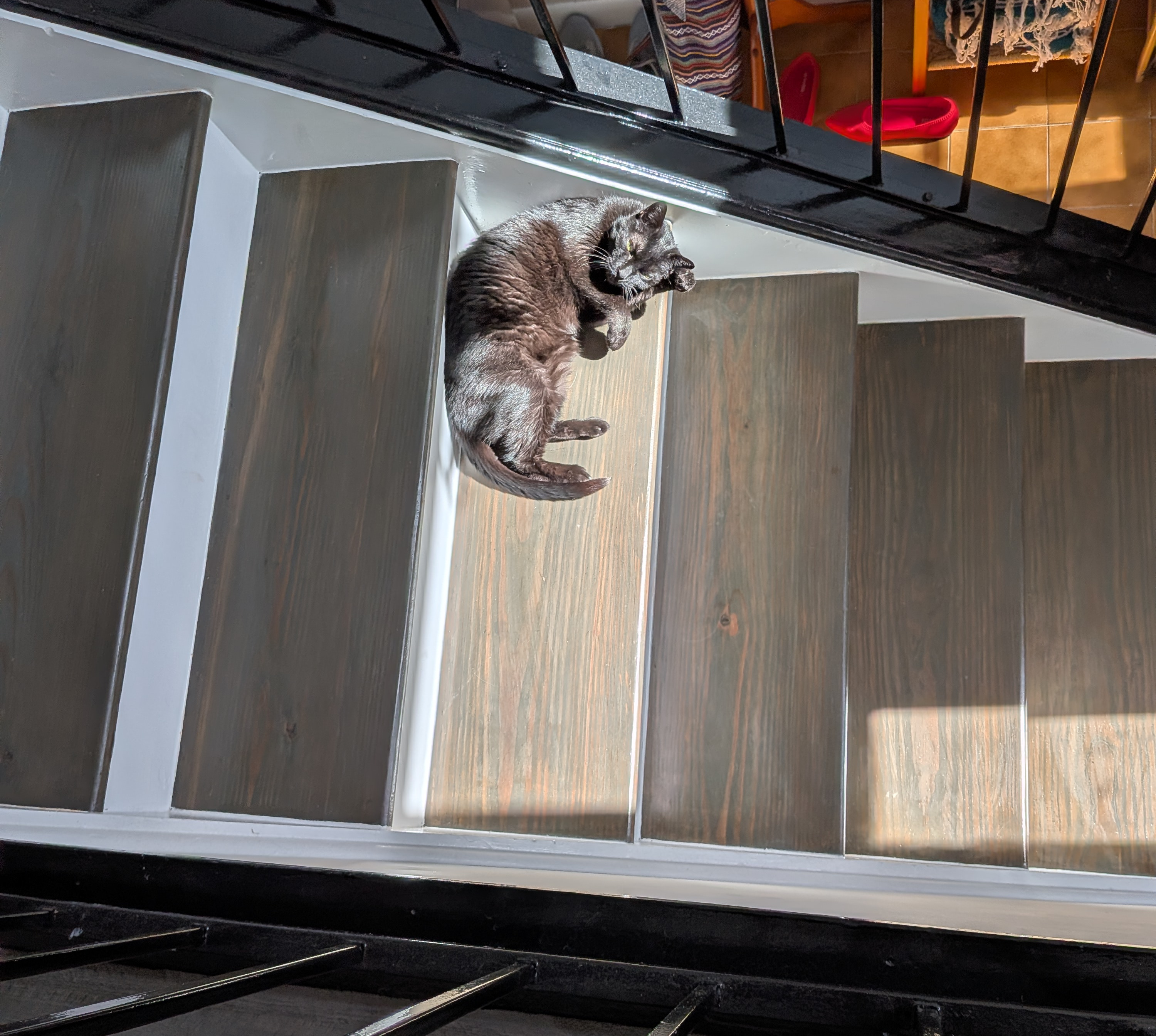 DR. LUNA - PROPHET OF THE TIKI TUBE